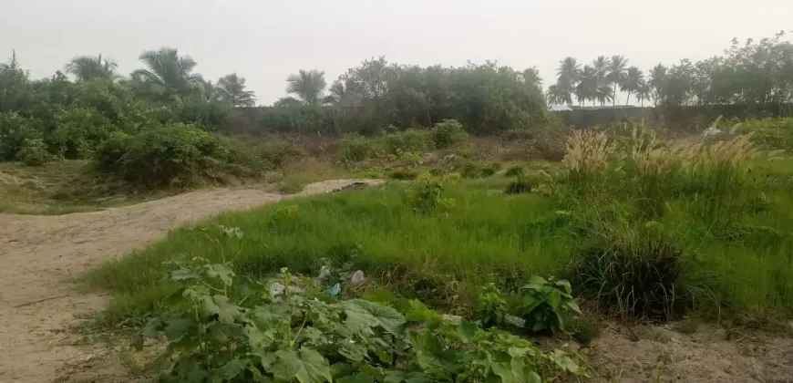 Prime Land – LTA Community