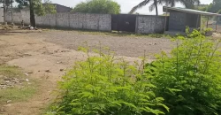 Central Prime Land near Foreign Affairs Ministry