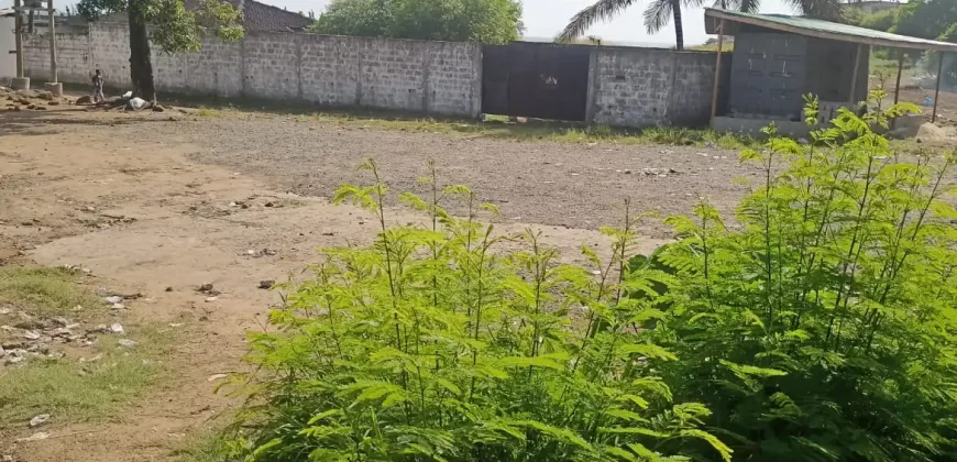 Central Prime Land near Foreign Affairs Ministry