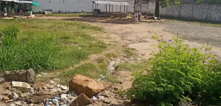 Central Prime Land near Foreign Affairs Ministry