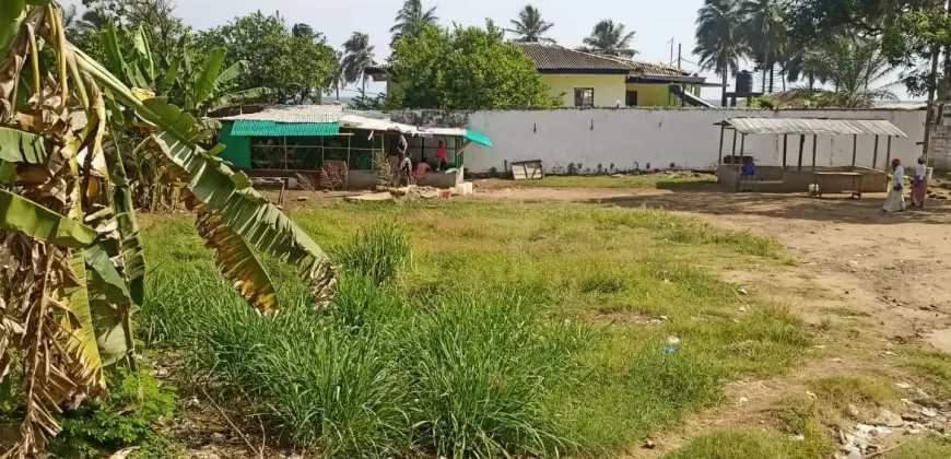 Central Prime Land near Foreign Affairs Ministry