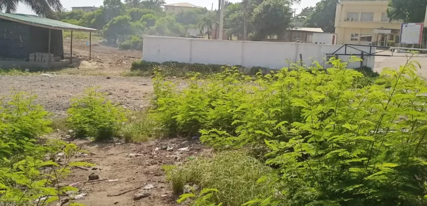 Central Prime Land near Foreign Affairs Ministry