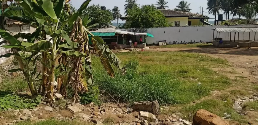Central Prime Land near Foreign Affairs Ministry