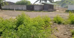 Central Prime Land near Foreign Affairs Ministry