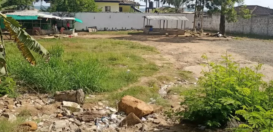 Central Prime Land near Foreign Affairs Ministry