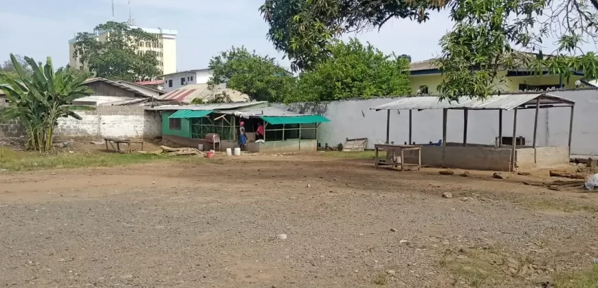 Central Prime Land near Foreign Affairs Ministry