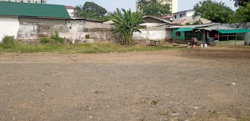 Central Prime Land near Foreign Affairs Ministry