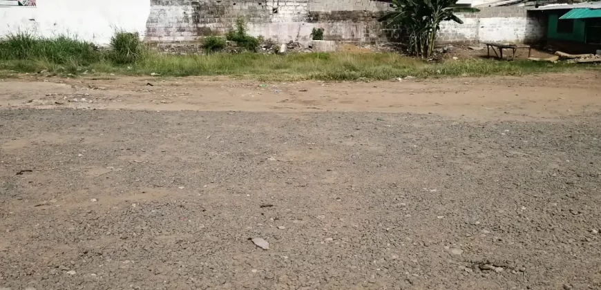 Central Prime Land near Foreign Affairs Ministry