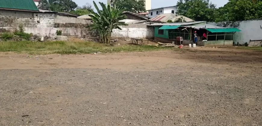 Central Prime Land near Foreign Affairs Ministry