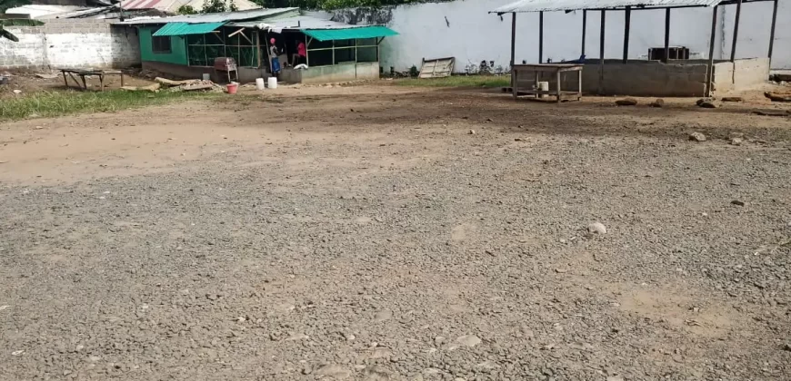 Central Prime Land near Foreign Affairs Ministry