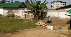 Central Prime Land near Foreign Affairs Ministry