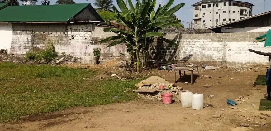 Central Prime Land near Foreign Affairs Ministry