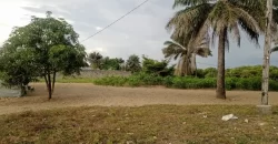 Property near Waterfront Behind Camp Schiefflin Barrack