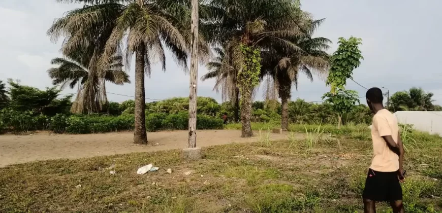 Property near Waterfront Behind Camp Schiefflin Barrack