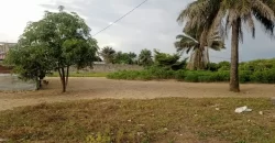 Property near Waterfront Behind Camp Schiefflin Barrack