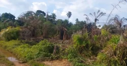 Huge Farmland in Tulaymu Town