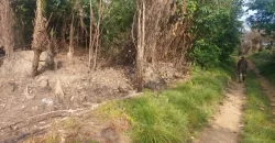 Huge Farmland in Tulaymu Town