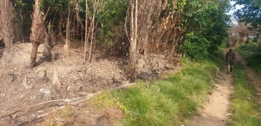 Huge Farmland in Tulaymu Town