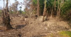 Huge Farmland in Tulaymu Town