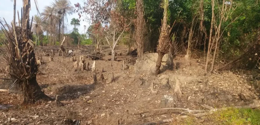Huge Farmland in Tulaymu Town
