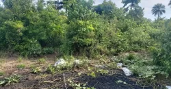 Huge Farmland in Tulaymu Town