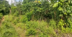 Huge Farmland in Tulaymu Town