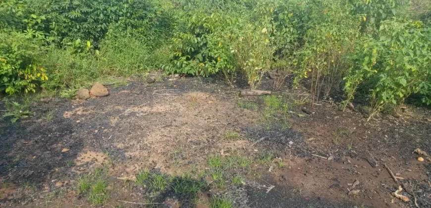 Huge Farmland in Tulaymu Town