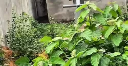 Beach Community Home in Brewerville.