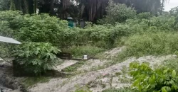 One Lot in Boys’ Town