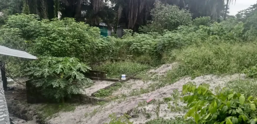 One Lot in Boys’ Town