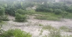 One Lot in Boys’ Town