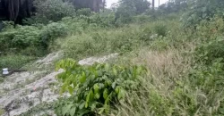 One Lot in Boys’ Town