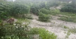 One Lot in Boys’ Town