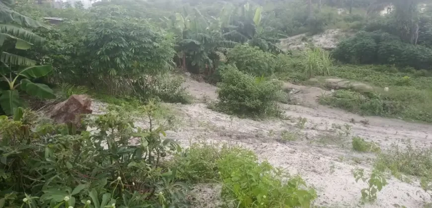 One Lot in Boys’ Town