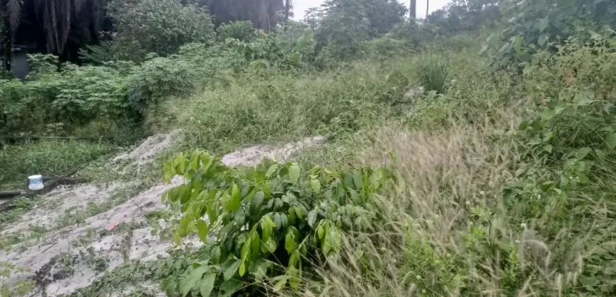 One Lot in Boys’ Town