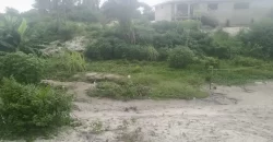 One Lot in Boys’ Town