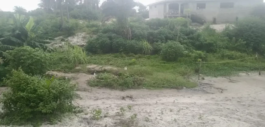 One Lot in Boys’ Town