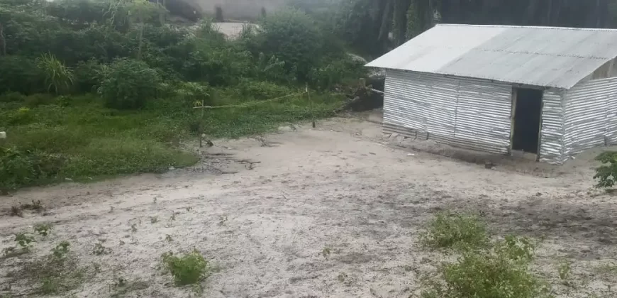 One Lot in Boys’ Town