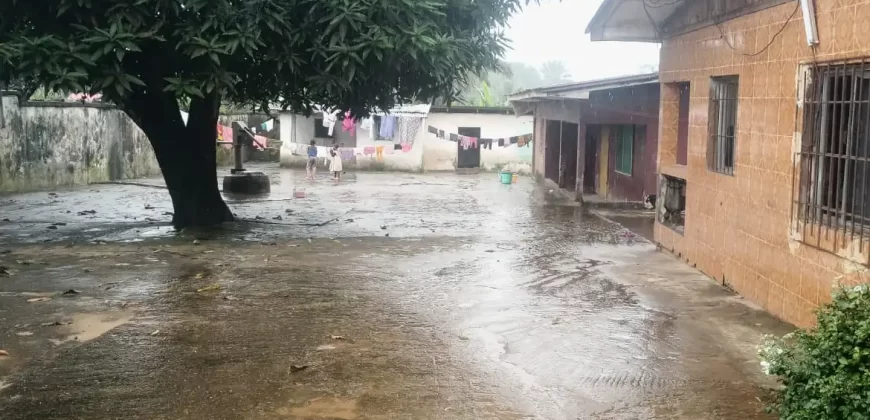 Prime Compound in Banjor Community, Brewerville.