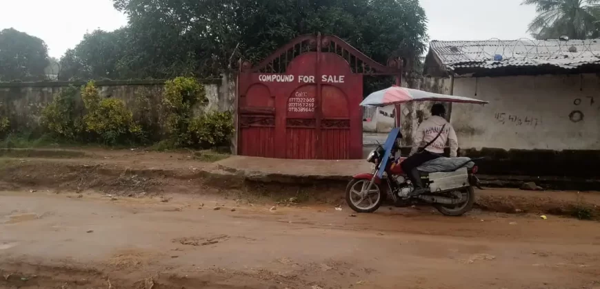 Prime Compound in Banjor Community, Brewerville.