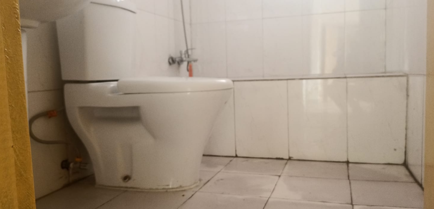 Apartment for Rent on Randall Street.  #102