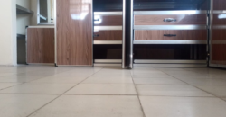 Apartment for Rent on Randall Street.  #102