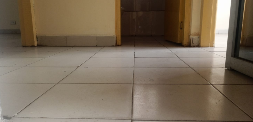 Apartment for Rent on Randall Street.  #102