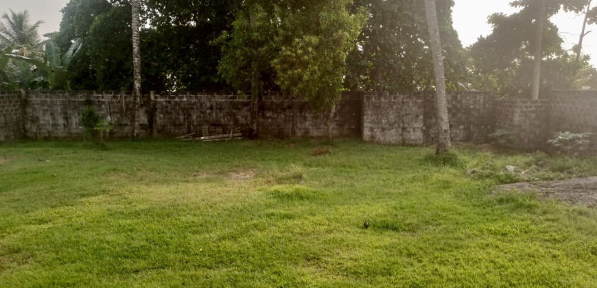 Entire Compound for Rent