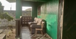 Entire Compound for Rent