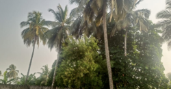 Entire Compound for Rent