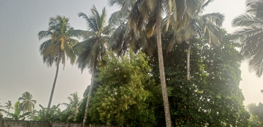 Entire Compound for Rent