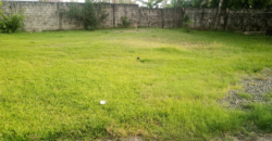 Entire Compound for Rent