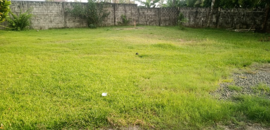 Entire Compound for Rent