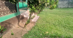 Entire Compound for Rent